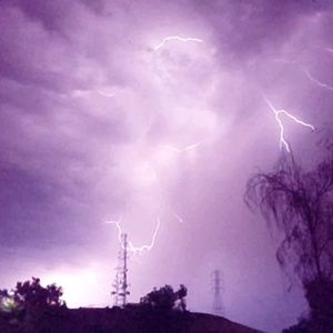 Meet your Posher, Dominick